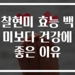 찰현미 효능 백미보다 건강에 좋은 이유