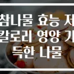 참나물 효능 저칼로리 영양 가득한 나물