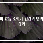 참마 효능 소화기 건강과 면역력 강화
