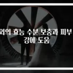 참외의 효능 수분 보충과 피부 건강에 도움