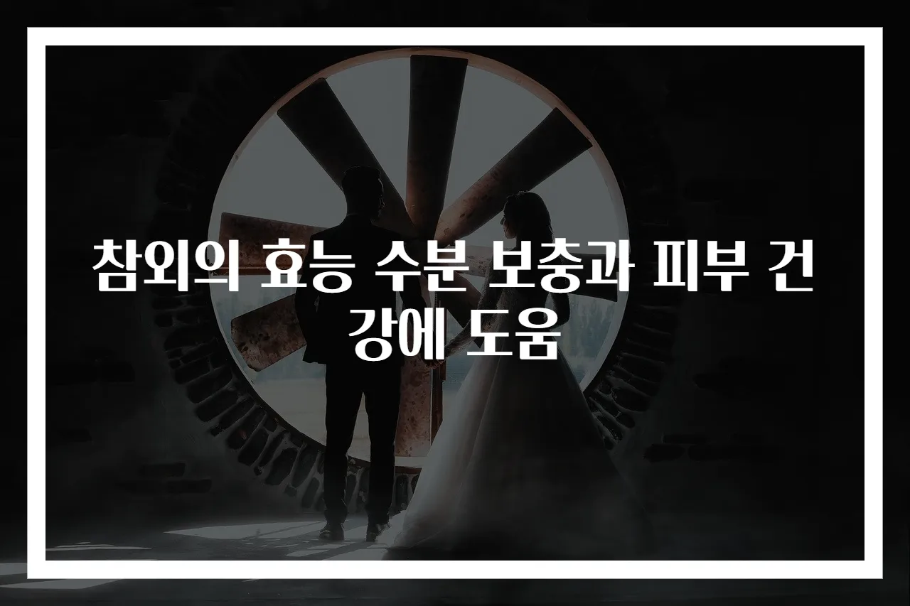 참외의 효능 수분 보충과 피부 건강에 도움
