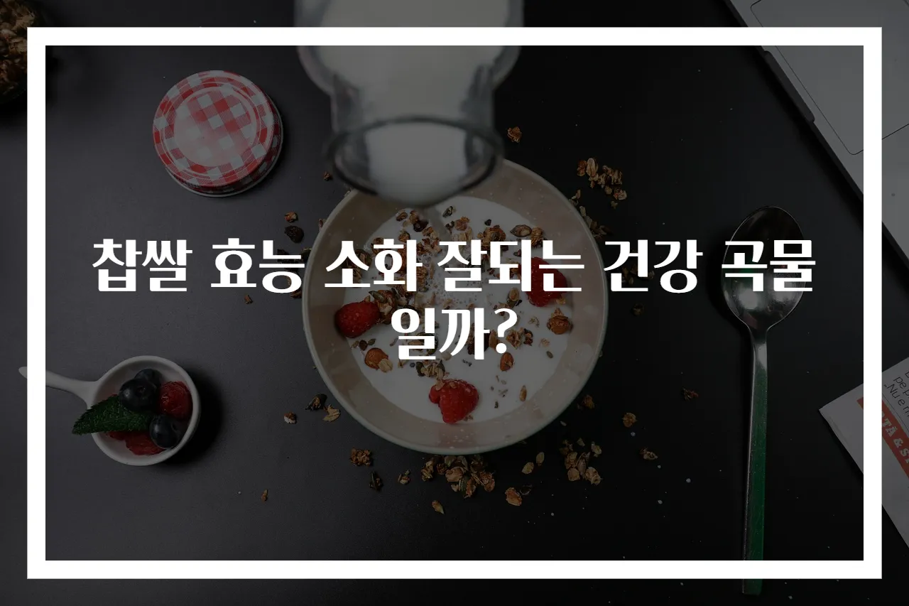 찹쌀 효능 소화 잘되는 건강 곡물일까?