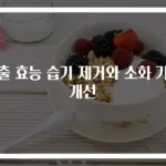 창출 효능 습기 제거와 소화 기능 개선