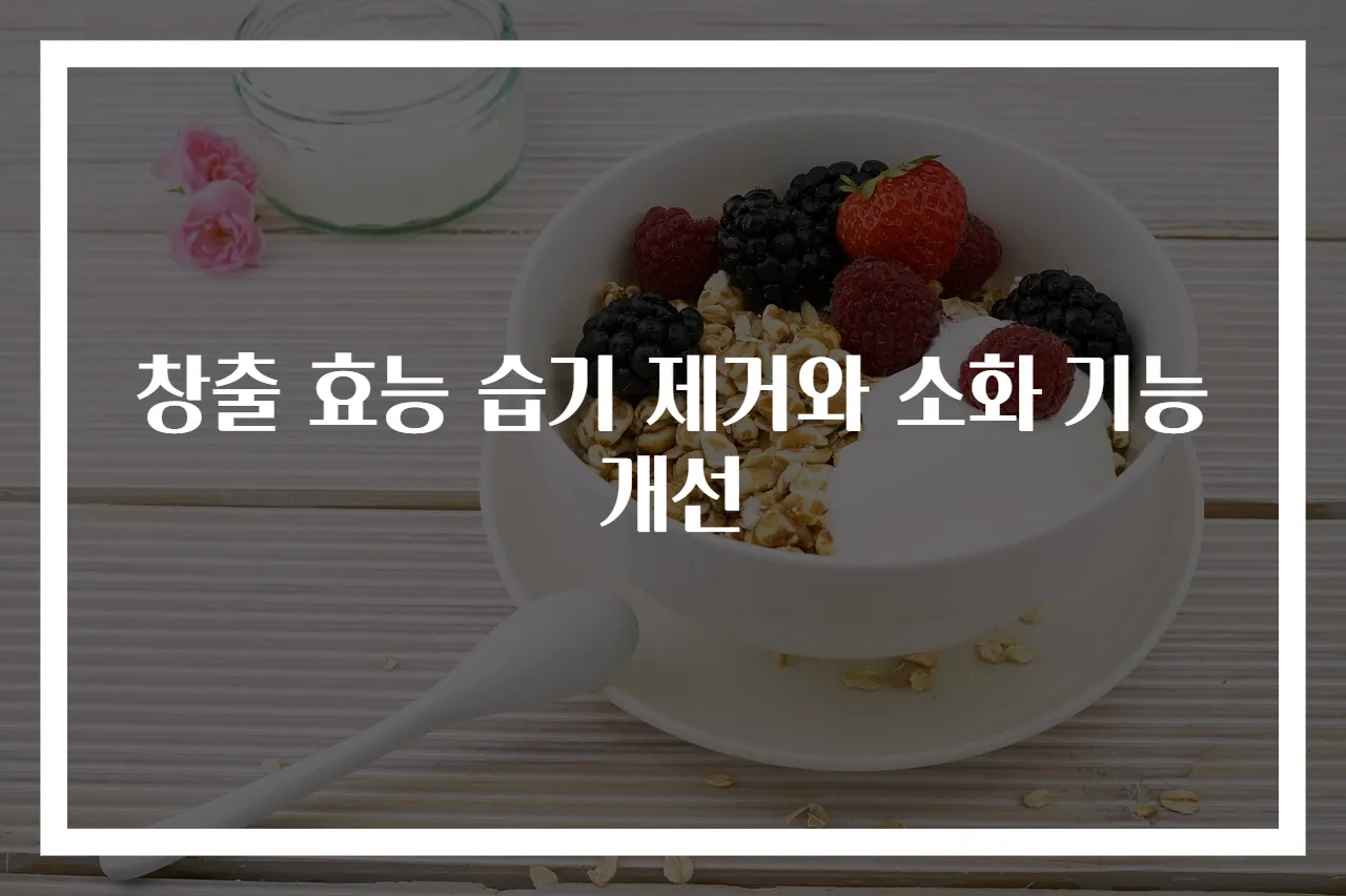 창출 효능 습기 제거와 소화 기능 개선