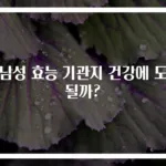 천남성 효능 기관지 건강에 도움될까?