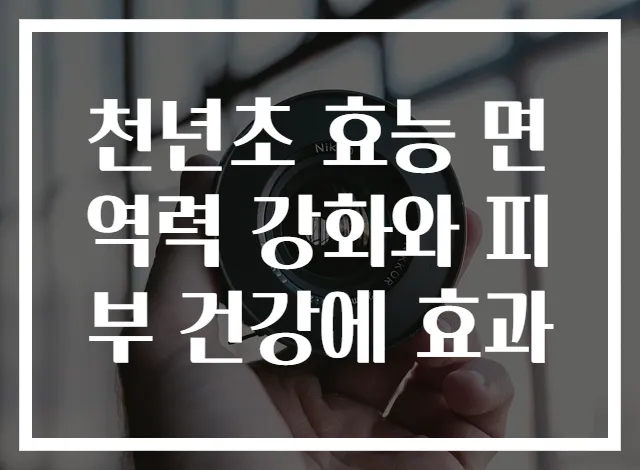 천년초 효능 면역력 강화와 피부 건강에 효과