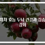 천마차 효능 두뇌 건강과 집중력 강화