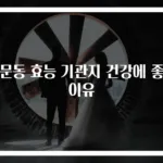 천문동 효능 기관지 건강에 좋은 이유