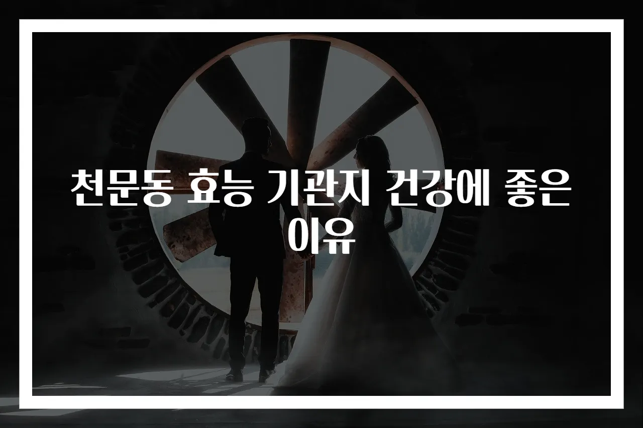 천문동 효능 기관지 건강에 좋은 이유