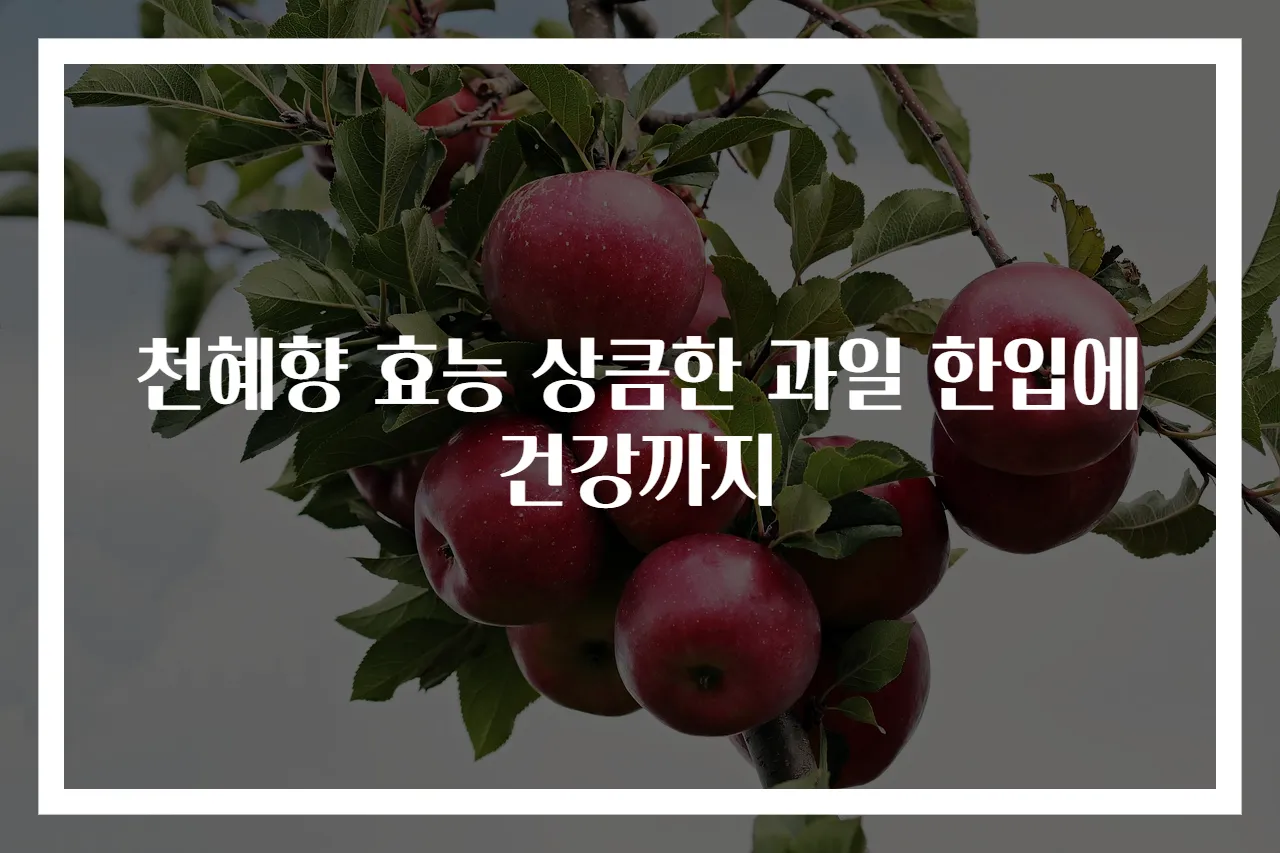 천혜향 효능 상큼한 과일 한입에 건강까지