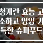청계란 효능 고소하고 영양 가득한 슈퍼푸드
