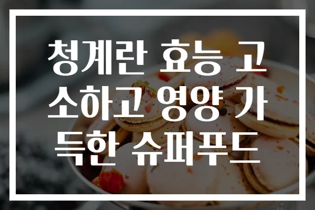 청계란 효능 고소하고 영양 가득한 슈퍼푸드
