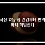 청국장 효능 장 건강부터 면역력까지 책임진다
