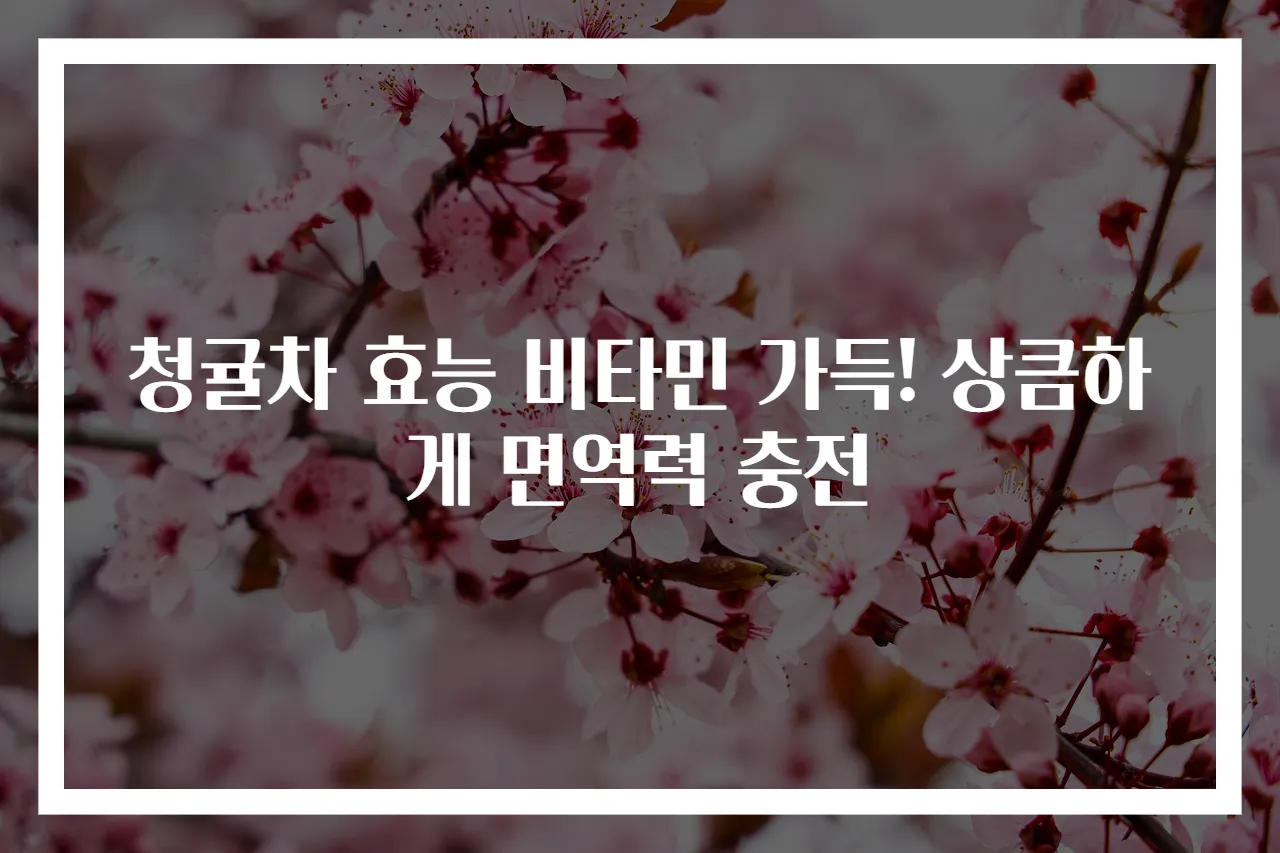 청귤차 효능 비타민 가득! 상큼하게 면역력 충전