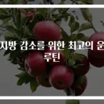 체지방 감소를 위한 최고의 운동 루틴