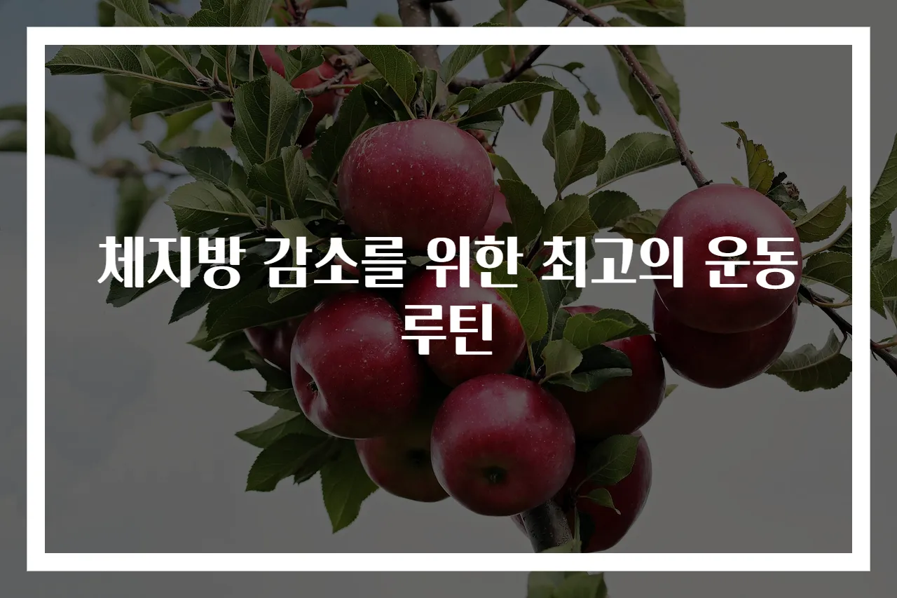 체지방 감소를 위한 최고의 운동 루틴