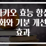 카카오 효능 항산화와 기분 개선 효과