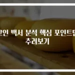 코인 백서 분석 핵심 포인트만 추려보기