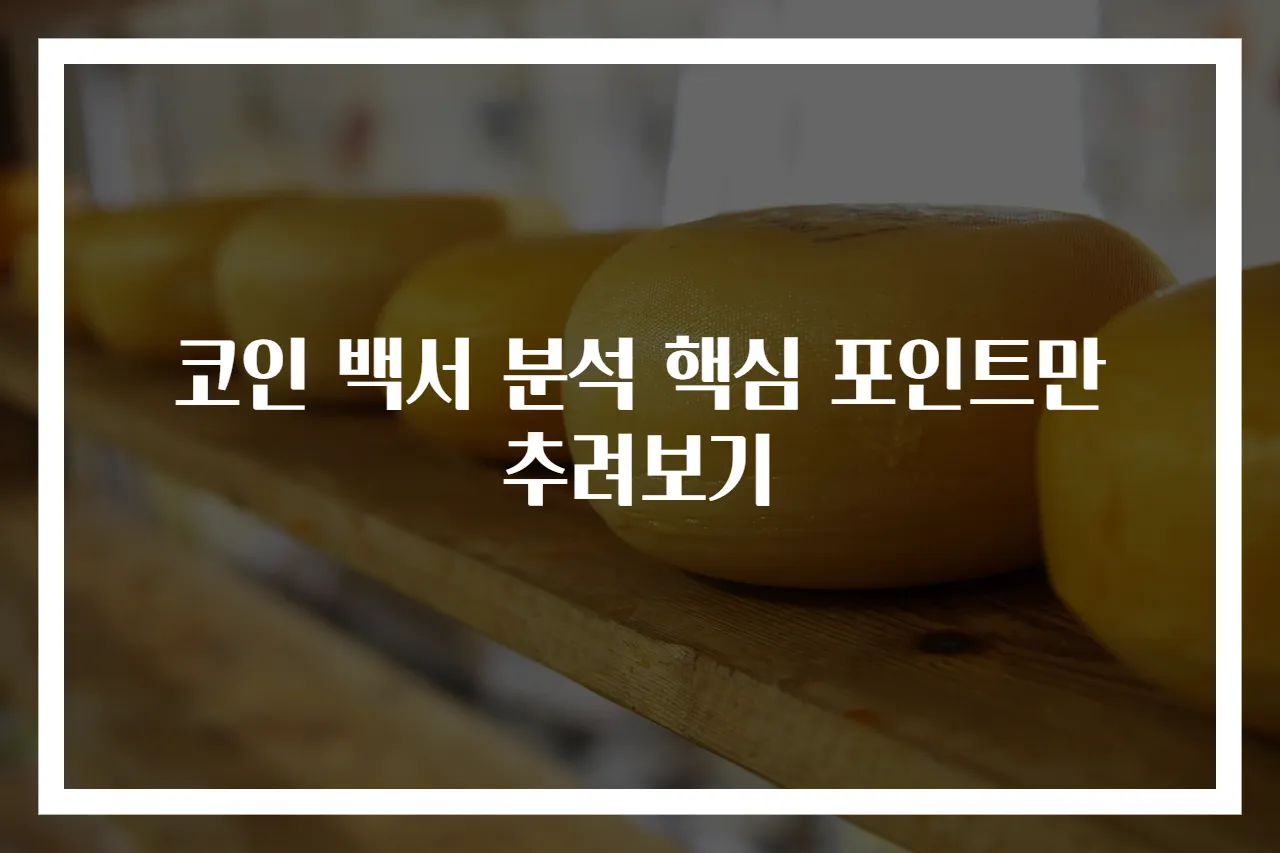 코인 백서 분석 핵심 포인트만 추려보기