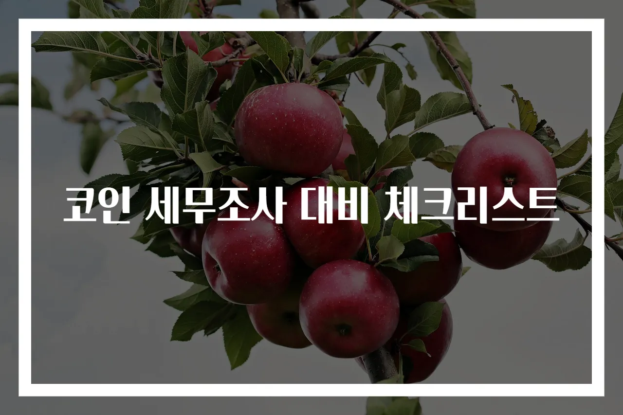 코인 세무조사 대비 체크리스트