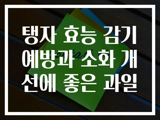 탱자 효능 감기 예방과 소화 개선에 좋은 과일