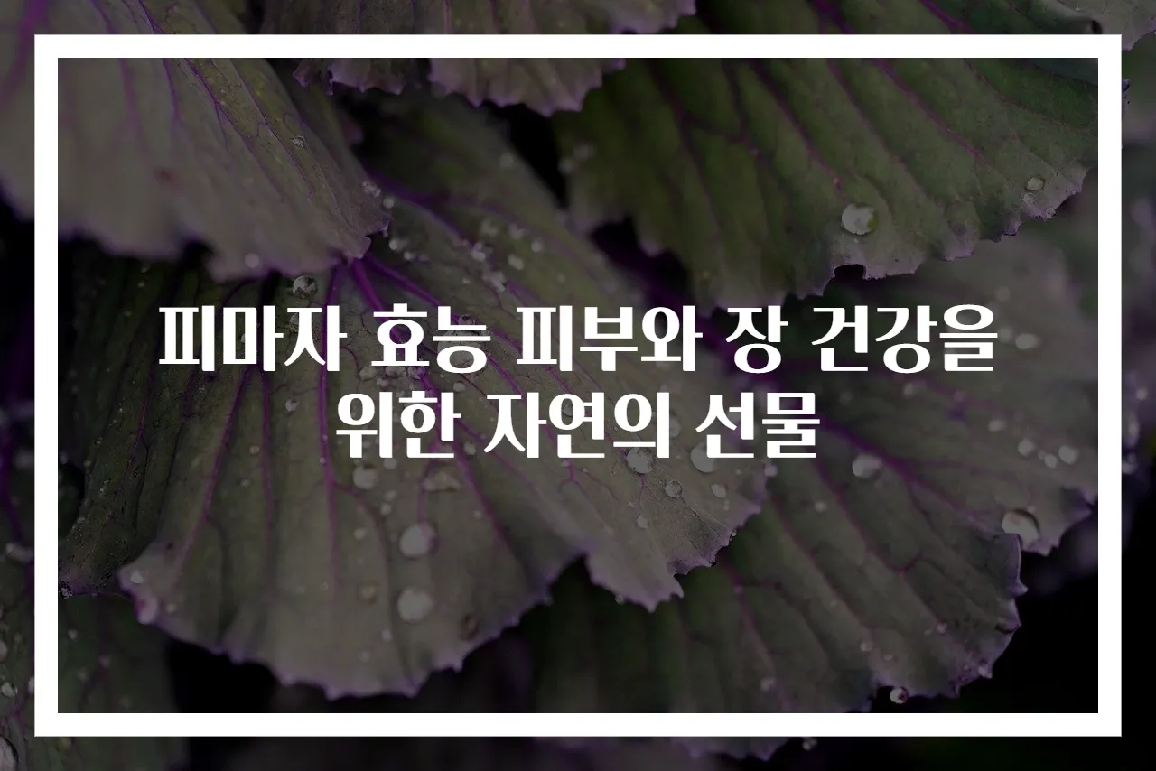 피마자 효능 피부와 장 건강을 위한 자연의 선물