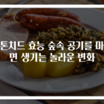 피톤치드 효능 숲속 공기를 마시면 생기는 놀라운 변화