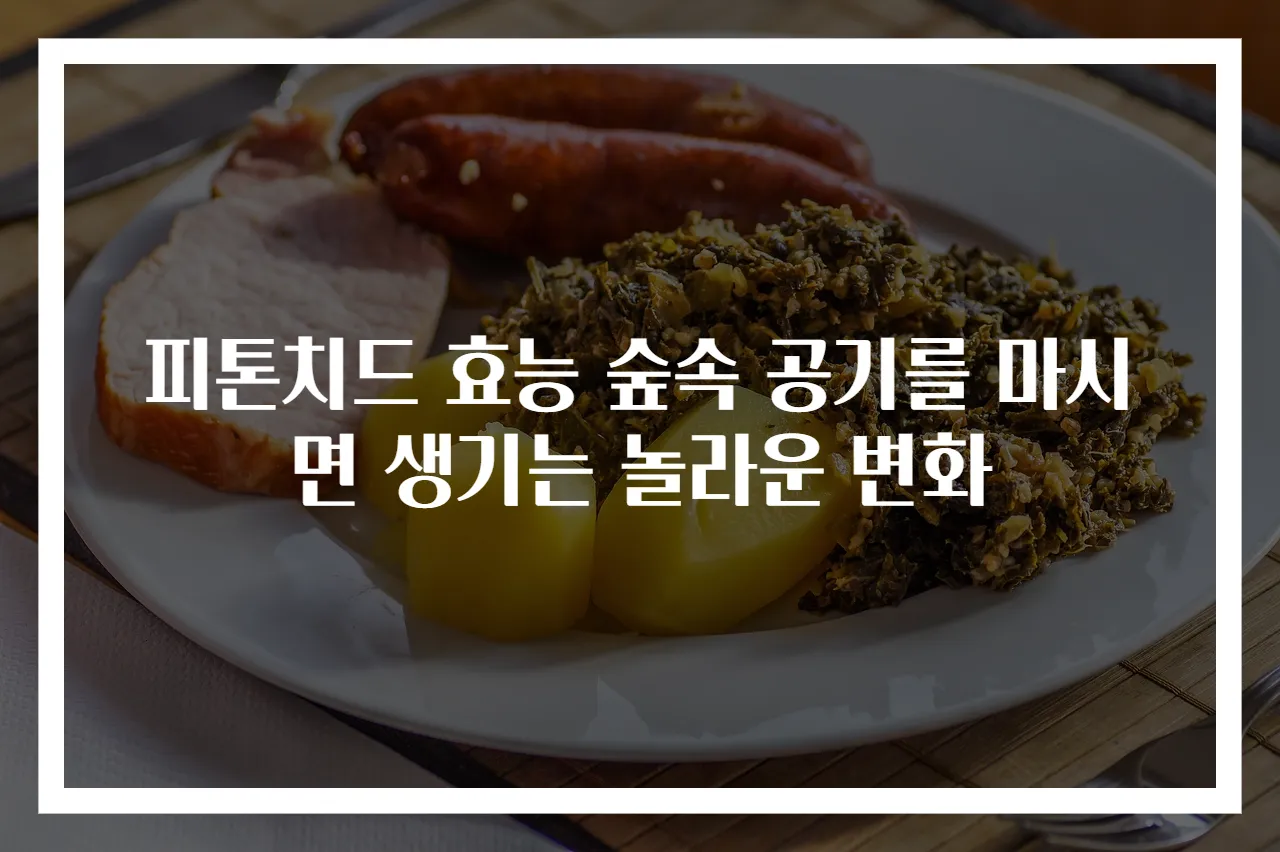 피톤치드 효능 숲속 공기를 마시면 생기는 놀라운 변화