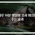 하루 10분 명상이 몸과 마음에 주는 효과