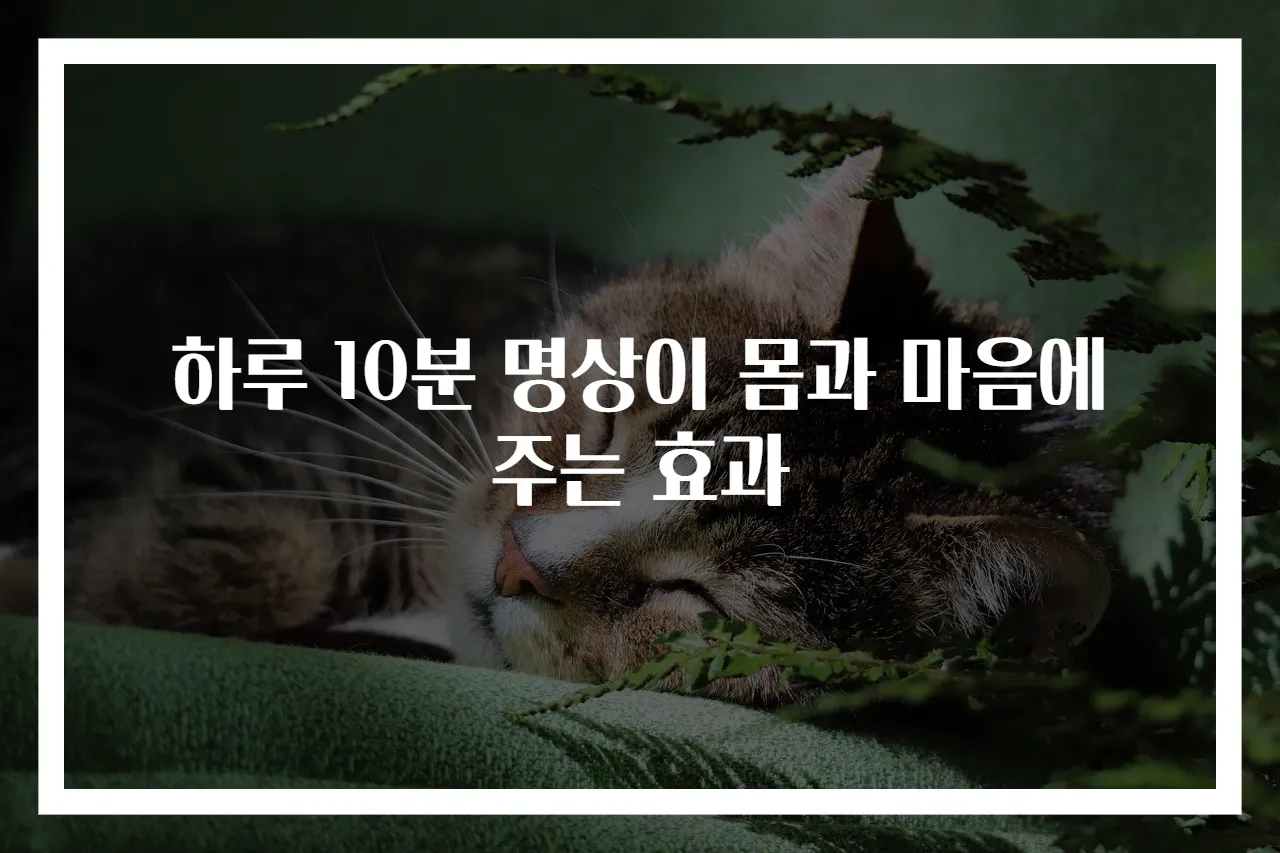 하루 10분 명상이 몸과 마음에 주는 효과