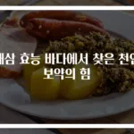 해삼 효능 바다에서 찾은 천연 보약의 힘