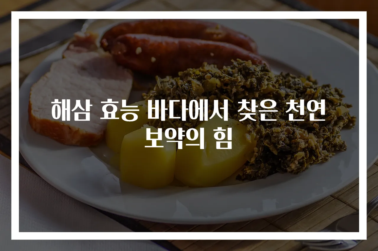 해삼 효능 바다에서 찾은 천연 보약의 힘