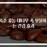 해죽순 효능 대나무 속 보물이 주는 건강 효과