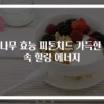 향나무 효능 피톤치드 가득한 숲속 힐링 에너지