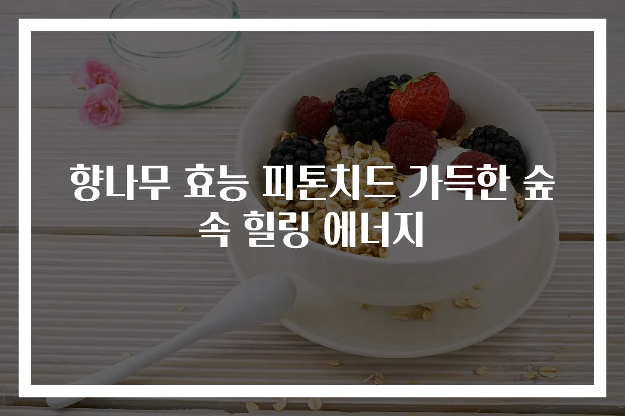 향나무 효능 피톤치드 가득한 숲속 힐링 에너지