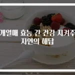 헛개열매 효능 간 건강 지켜주는 자연의 해답