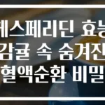 헤스페리딘 효능 감귤 속 숨겨진 혈액순환 비밀
