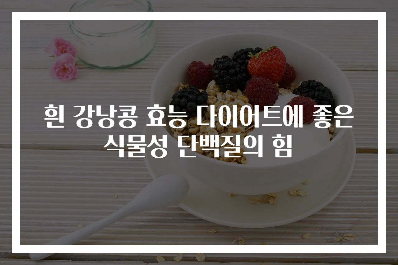 흰 강낭콩 효능 다이어트에 좋은 식물성 단백질의 힘