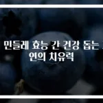 흰 민들레 효능 간 건강 돕는 자연의 치유력