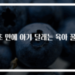 5초 만에 아기 달래는 육아 꿀팁