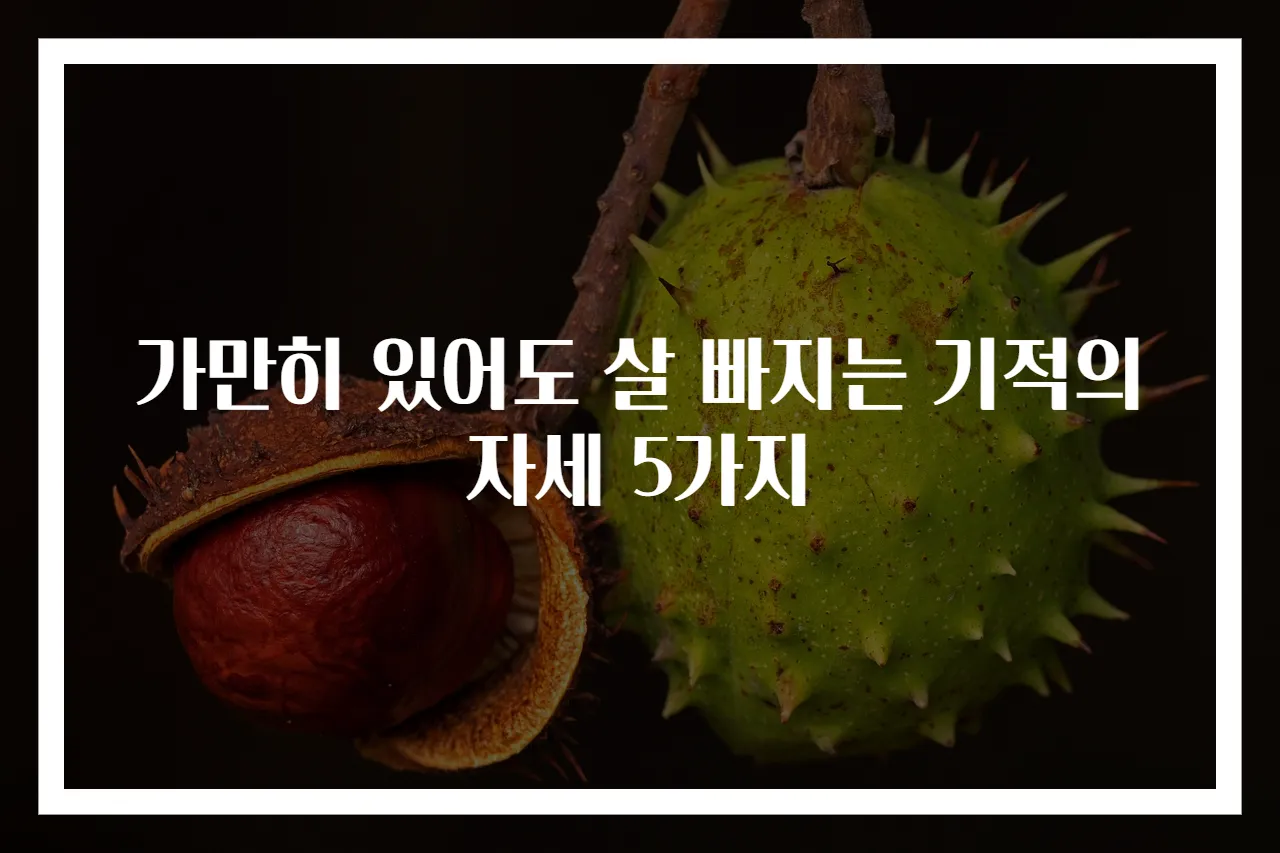 가만히 있어도 살 빠지는 기적의 자세 5가지