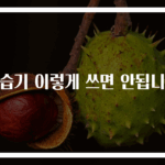 가습기 이렇게 쓰면 안됩니다