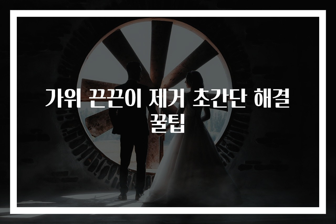 가위 끈끈이 제거 초간단 해결 꿀팁