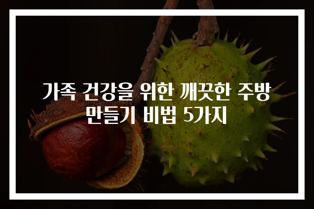 가족 건강을 위한 깨끗한 주방 만들기 비법 5가지