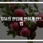 가지요리 한입에 반하게 만드는 법