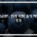 감귤샌드 인기 폭발! 솔직 먹방 후기