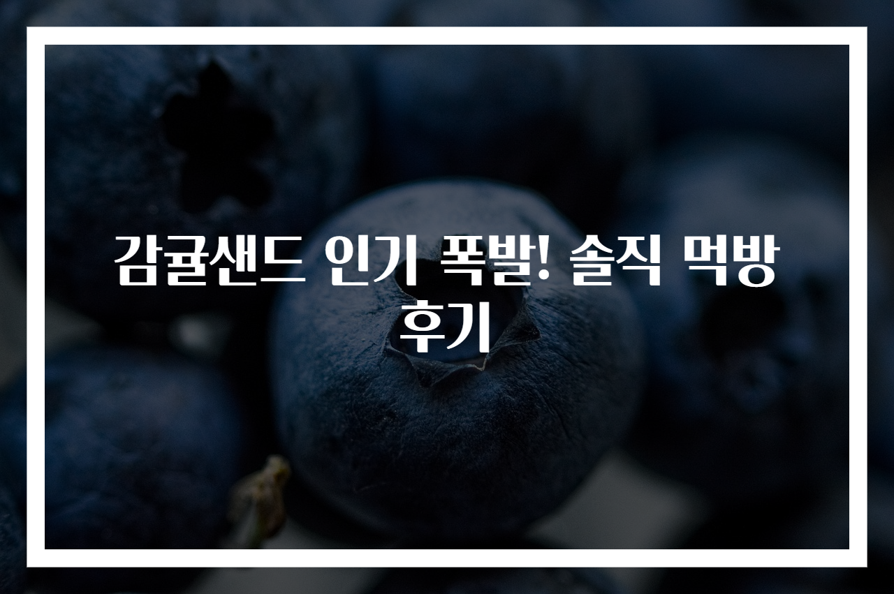 감귤샌드 인기 폭발! 솔직 먹방 후기