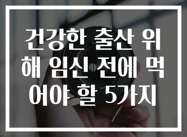 건강한 출산 위해 임신 전에 먹어야 할 5가지