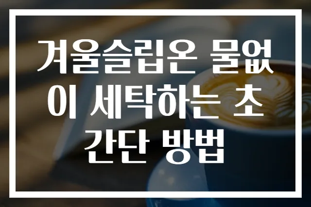겨울슬립온 물없이 세탁하는 초간단 방법
