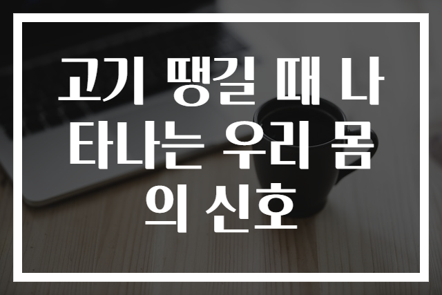 고기 땡길 때 나타나는 우리 몸의 신호